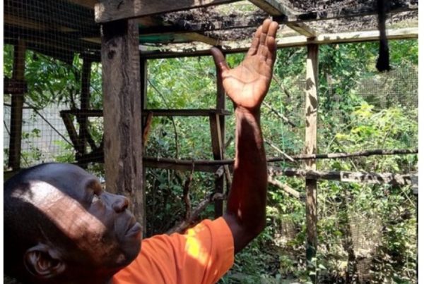 Pa Bullom- Our Resident